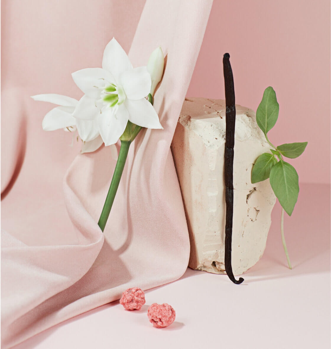 scent text 1
