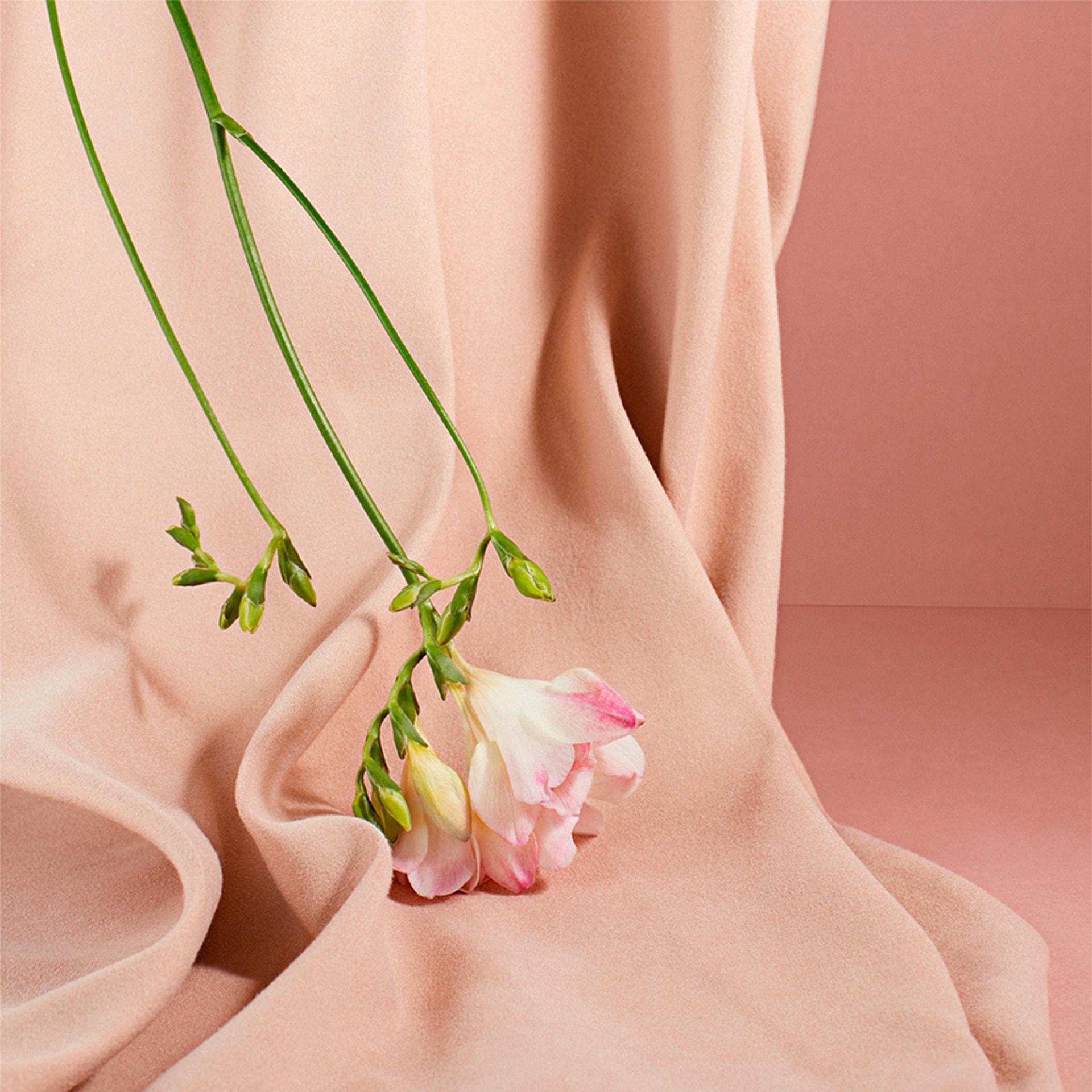 Parfum Gres New Website Visuals 896x896px V01